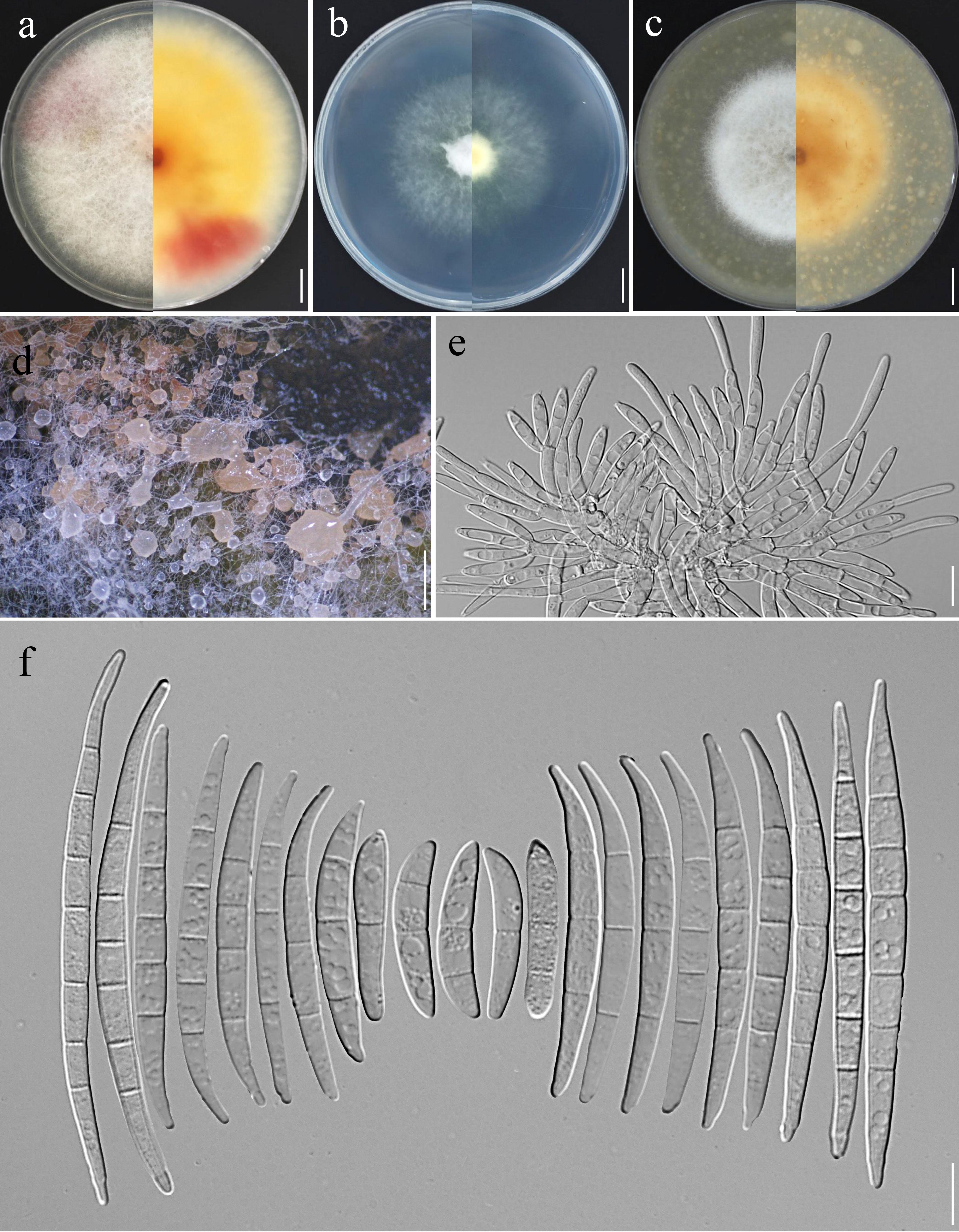 Figure 72